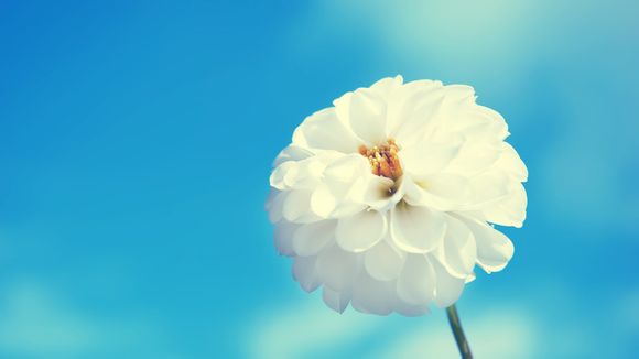 psp最终幻想3图文攻略及秘籍