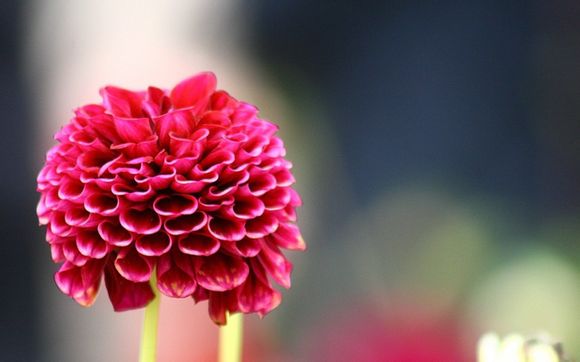 不朽的勋章电视剧全集