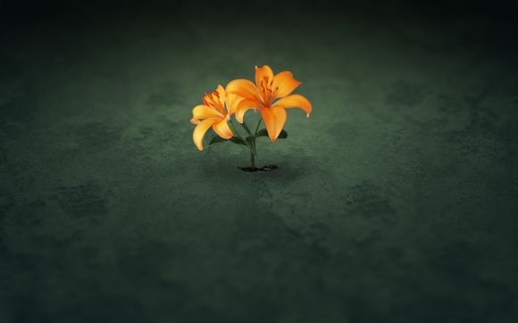 杰克和露丝在车里是第一次吗